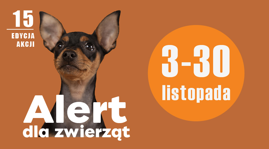 Alert 25_ slider